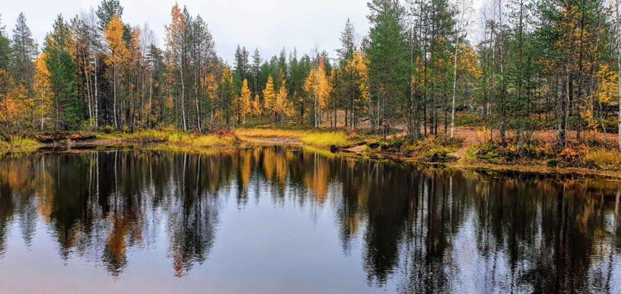 Cozy Log Cabin By Invisible Forest Lodge Rovaniemi Zewnętrze zdjęcie