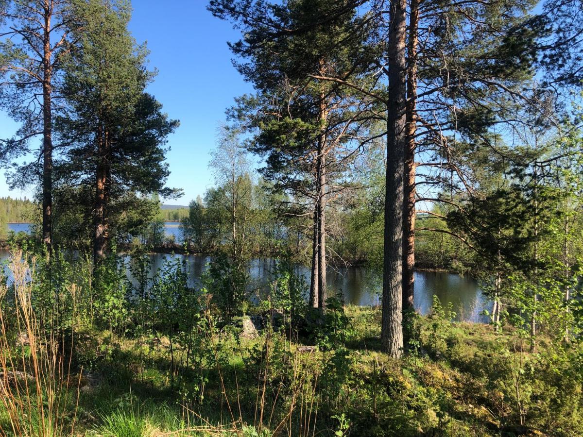 Cozy Log Cabin By Invisible Forest Lodge Rovaniemi Zewnętrze zdjęcie